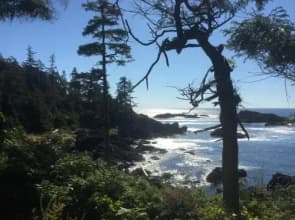 The Lighthouse Bed and Breakfast