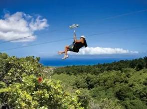 Ridge 1511 Gold Ocean View by RedAwning