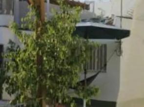 The Garden Backpacker