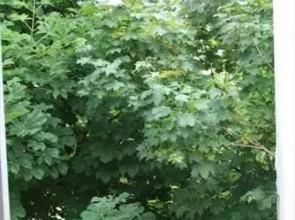 Very Charming Garden View 4 Sleeps In The Heart Saint Germain