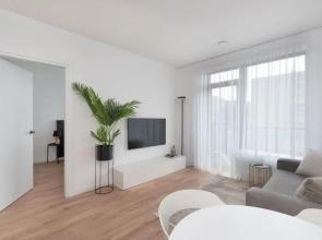 Brand New and Modern 1BDR Apartment