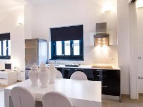 Valencia Luxury Downtown Penthouse