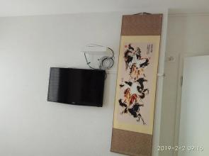 Swissart | Lake View