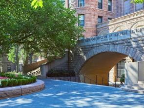 5th & 55th Residence Club