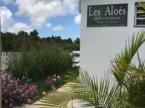 LES ALOÈS By CREYOL ANIMAL