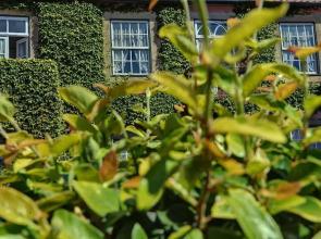 Independent Apartment n 2 in an Old Mansion Located by the Mouth of Douro River