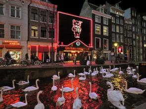 Hotel & bar Royal taste Amsterdam