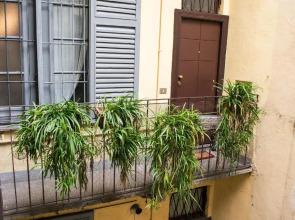 YouHosty - Mercato Dx 16