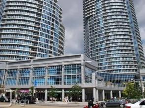 Pelican on the Harbour
