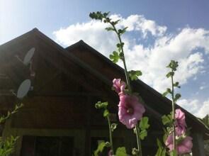 B&B La Borella Casa Conti