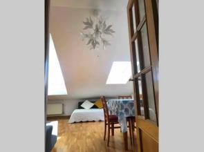 VUT 09-230 En la Catedral, Ubicación Excepcional y con Wifi