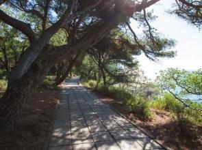 Apart-hotel Park Avenue