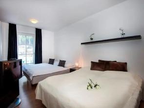 Penthouse in Bad Gastein Near Ski Lifts