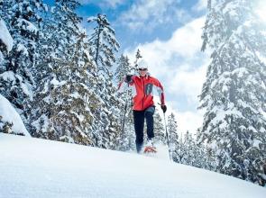 Apartment in Zell am See Near the ski Area