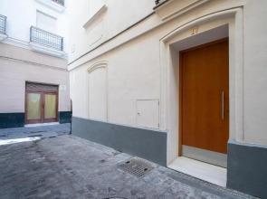 Apartamento Animalia