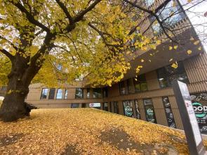 Tõnismäe Premium apartment with Sauna