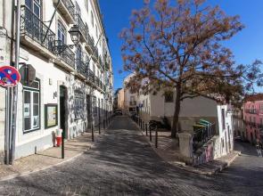 Bright Santa Catarina by Homing