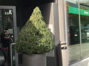 Penthouse Apartments Lakeside