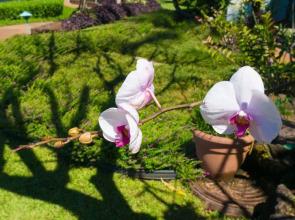 Hanalei Bay Resort 5201 by RedAwning