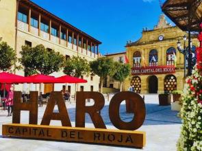 Apartamentos Señorio De Haro 3000