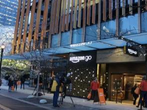 Capital Hill Little Oasis