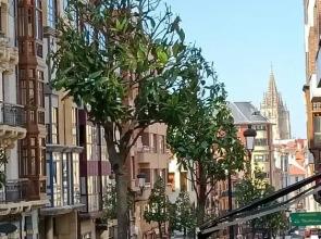 De La Guardia Suite Rosal