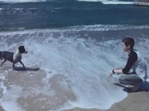 Wonderful Garden Apartment