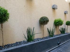 Sunny Luxary Apartments