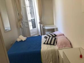 Le Petit Palü - Flora