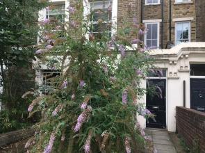 Stylish 1 Bedroom Apartment in Vibrant London Fields