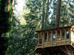 Cabañas en los Árboles