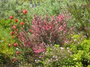 Villa With 4 Bedrooms in Chia, With Wonderful sea View, Furnished Garden and Wifi - 800 m From the Beach