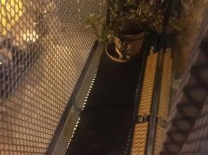 Vintage Palermo Posada Boutique