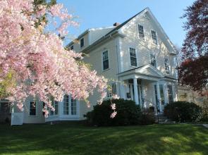 Beech Tree Bed and Breakfast