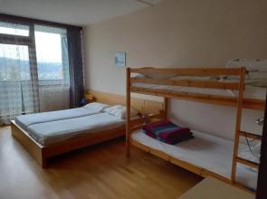 Panoramis apartment in Schladming