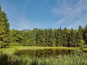 Tentrr - Davis Hollow Mountain Meadow