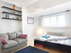 Apartment near the Castle