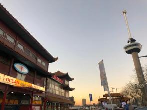 Hotel New Ocean Paradise