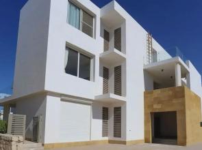 Prime Holidays Seashell