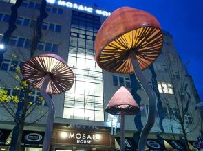 Mosaic House Design Hotel