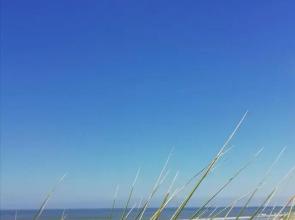 Bienvenue chez Paco ! Appartement 4 personnes.