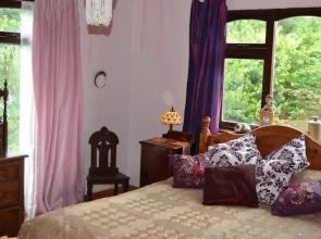 The Phoenix Vegetarian Restaurant & B&B