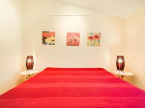 Cozy Chalet in Stegeren With Swimming Pool