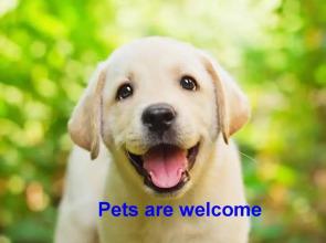 Apartamento Centro Histórico II