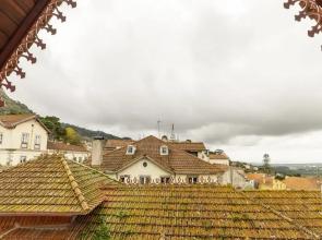Sintra Marmoris Camelia