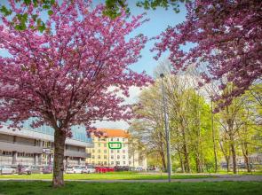 Double King Size Sunny Suite In Castle Area