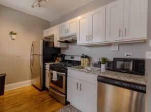 1BR Contemporary Lovely Apt in Lakeview