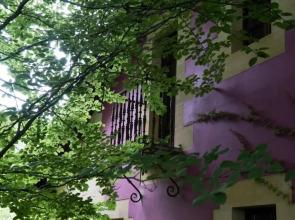 Apartamentos Arcadia