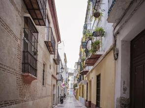 Suncity Flat Delicias