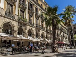 Habitat Apartments Art